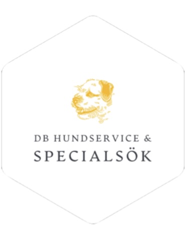 Narkotikasök, Vägglussök och Utbildning